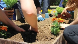 Eyüpsultan Belediyesi Kentsel Tarım ve Permakültür Eğitimleri Başlıyor