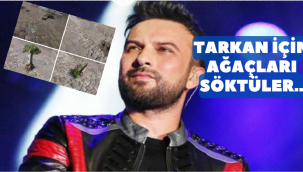 Tarkan'ın İzmir Konseri için ağaçları söktüler..