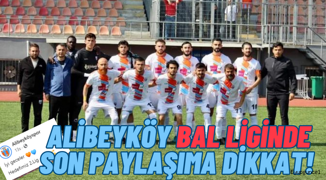 Alibeyköspor BAL Ligine Yükseldi