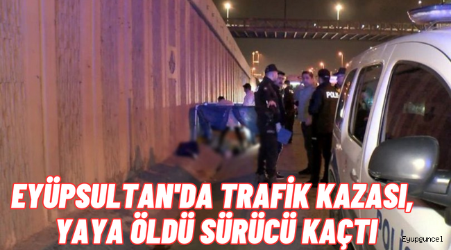 Eyüpsultan'da otomobilin çarptığı yaya öldü, sürücü kaçtı