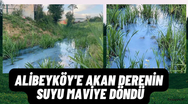 Alibeyköy Barajı'na akan derenin suyu maviye döndü