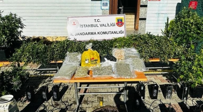 Jandarma'dan Eyüpsultan'da uyuşturucu ve silah operasyonu