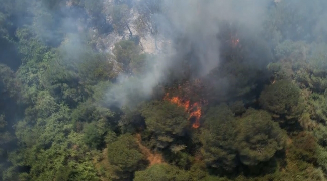 Sultangazi Kent Ormanı'nda Korkutan Yangın: Vatandaşlar Tahliye Edildi